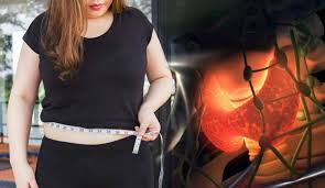 TURBO METABOLISMO ActivaFitᵀᴹ ⚡🍃 2,0